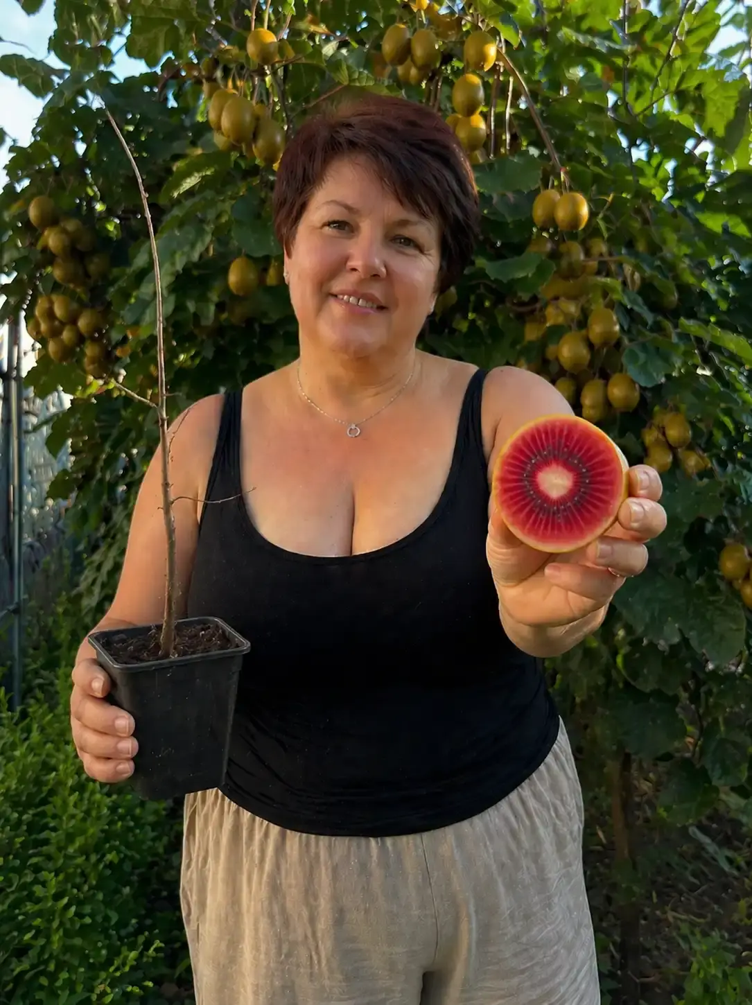 Розріз плоду ківі Золотий Рубін — жовта шкірка і рубінова серединка