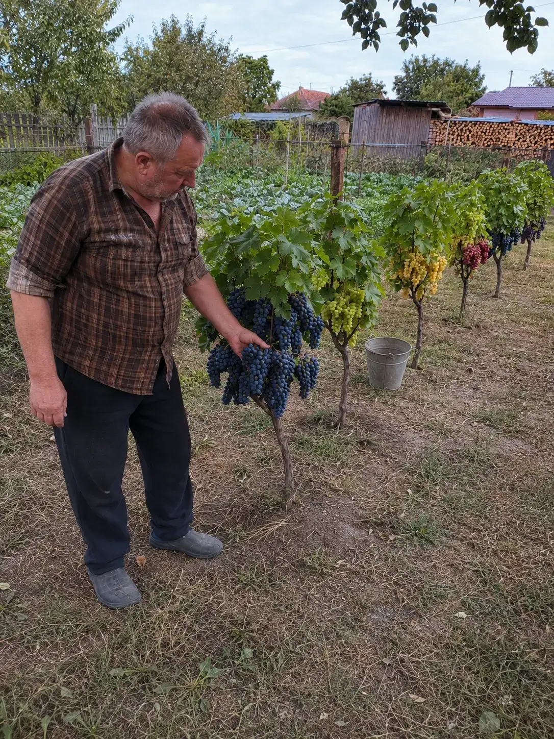 Фото відгуку Володимира Сидоренка